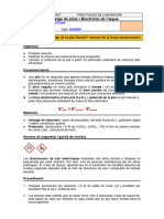 Pràctica Piles I Electrolisi - 2023 BERNAT AGULLÓ CANO