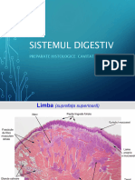 PREP_Sistemul_digestiv_I-36632