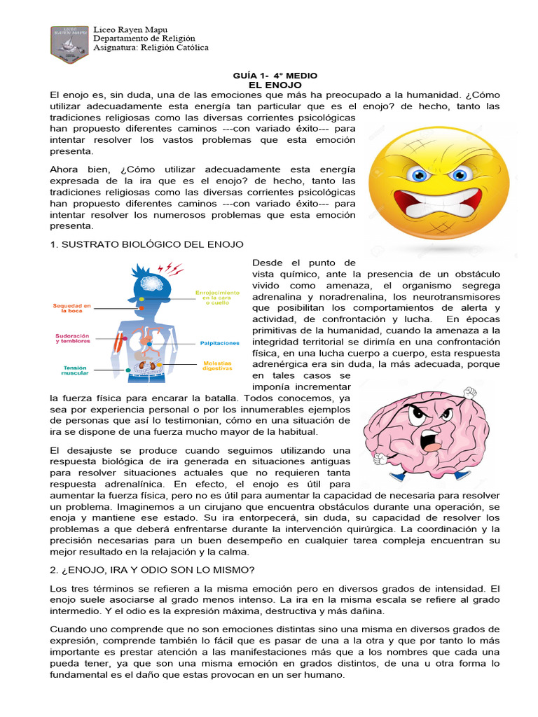 Comprendiendo el Enojo y sus Causas | PDF | Ira | Las emociones