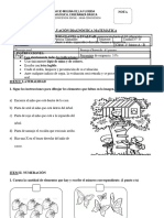 Diagnòstico Matemàtica 1º Bàsico