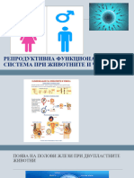 РЕПРОДУКТИВНА СИСТЕМА ПРИ ЖИВОТНИТЕ И ЧОВЕКА