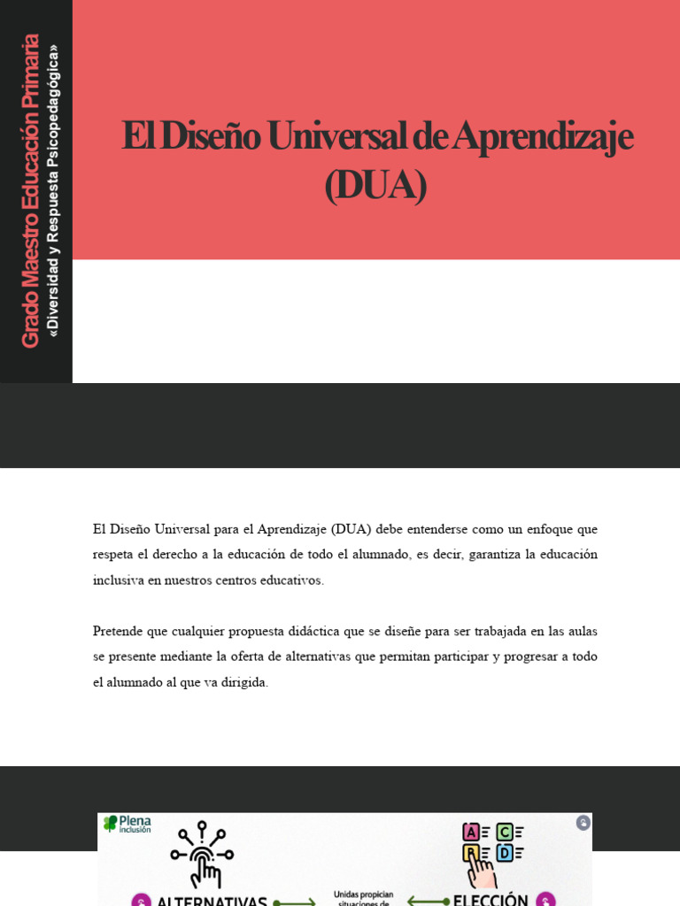 Diseño Universal para Aprendizaje Inclusivo | PDF | Plan de estudios ...