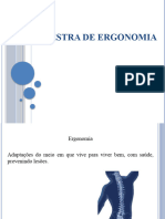 Palestra de Ergonomia