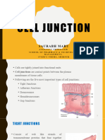 Cell Junction