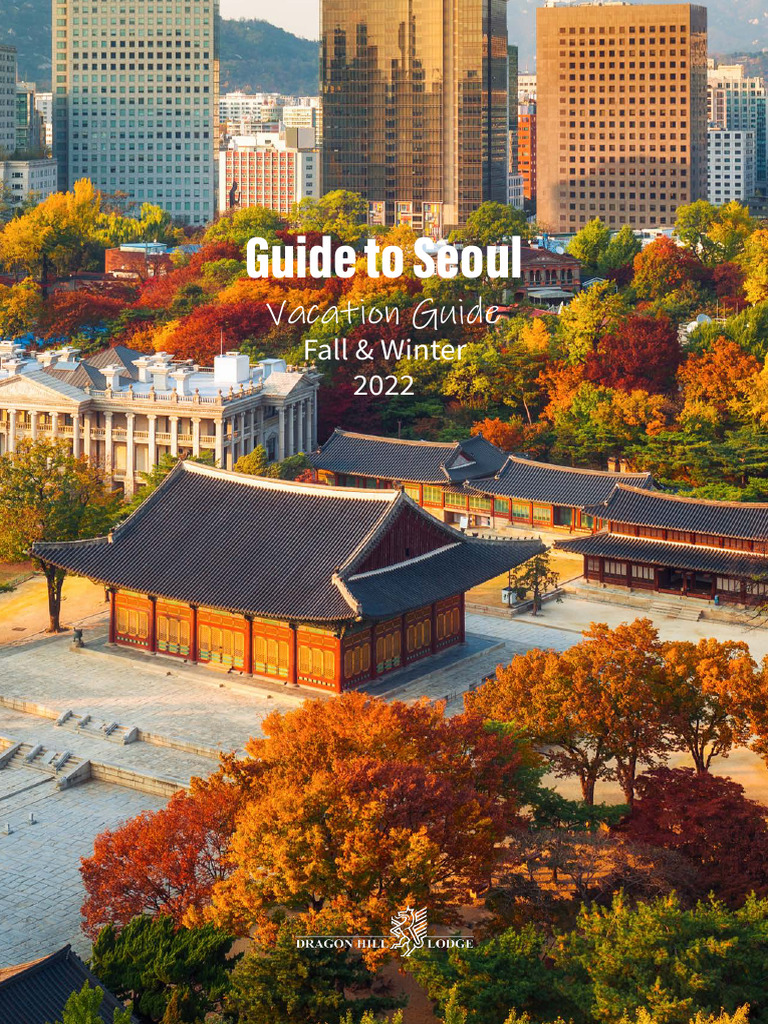SEOUL TRAVEL GUIDE PDF visual data 6