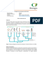 Guía Lab 10 Tardigrada-Onychophora UR 2024-1