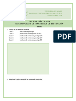 L6-Informe Electroforésis RFLP S