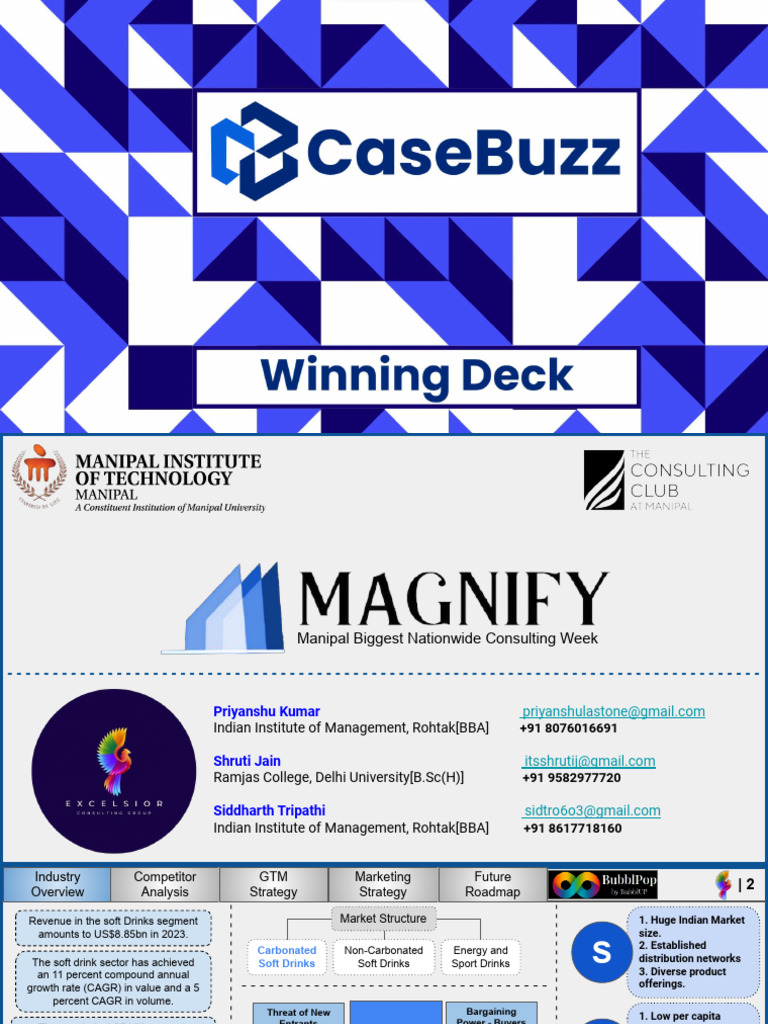 Magnify | PDF | Market Segmentation | Marketing