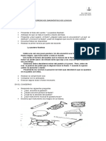 Período de Diagnóstico Lengua (1)