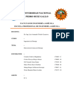 Elmer Leodan Neira Huaman GrupoN°-8-Direccion de Lineas de Drenaje