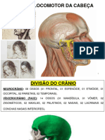 Locomotor da cabeça e pescoço(1)