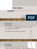 histologiaosea-200413185915