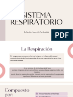 Sistema Respiratorio, Exposición Diagnóstico