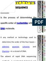 Dna Sequence 2024