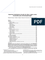 Aspectos Histológicos Da Pele de Cães e Gatos Como Ferramenta Para Dermatopatologia