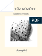 Hét Tüz Között