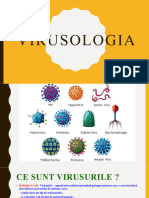 Virusologia-1 3