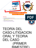 APE de Teoría del caso y litigación oral_Primer bimestre_Unificado_MESD