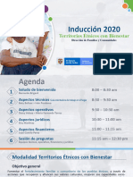 DFC - Presentación Induccioìn TEB 2020