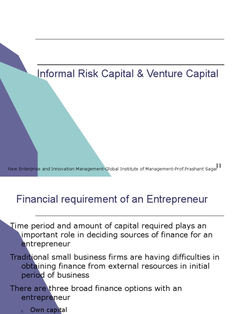 Venture Capital and Risk Funding Insights | PDF | Venture Capital ...