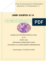 Cuadro Descriptivo de La Hematopoyesis Ruth Campa Grupo 12 Laboratorio Clinico