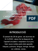 Dissecci LauraFont Ti MartaPuig MireiaVidal