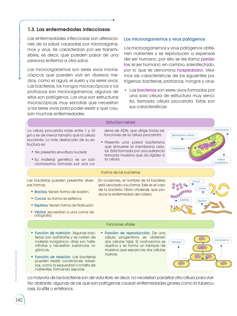 Enfermedades Infecciosas y Microorganismos | PDF | Las bacterias ...