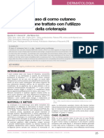 Un Caso Di Corno Cutaneo in Un Cane Trattato Con L Utilizzo Della Crioterapia