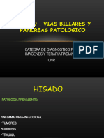 Higado, VB y Pancreas