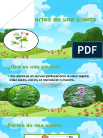 Partes de una planta