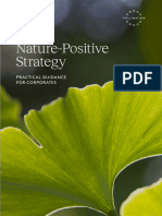 Nature_Strategy_for_Corporates_Report