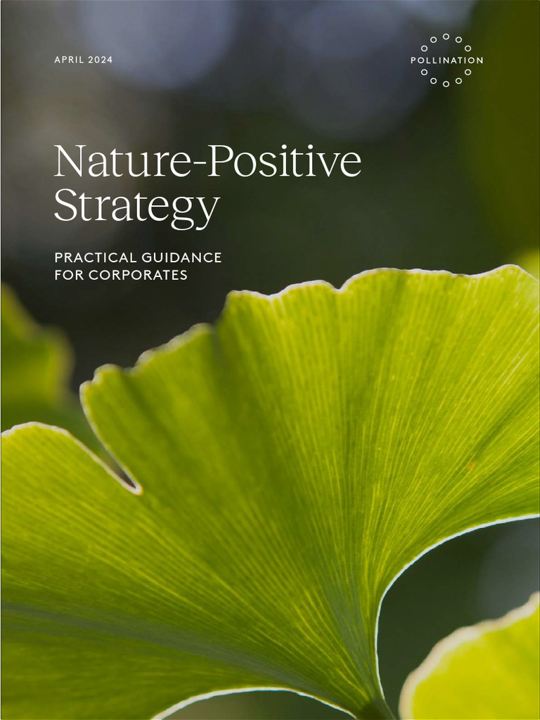 Nature Strategy For Corporates Report Pdf Biodiversity Risk