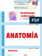 Morfofisiología Cardiaca