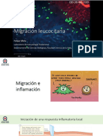 5_Migración leucocitaria (1)