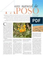 El Tesoro Natural de Paposo El Mercurio Revista Del Domingo 30.12.2018