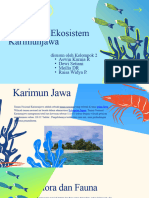Degradasi Lingkungan Ekosistem Karimun Jawa