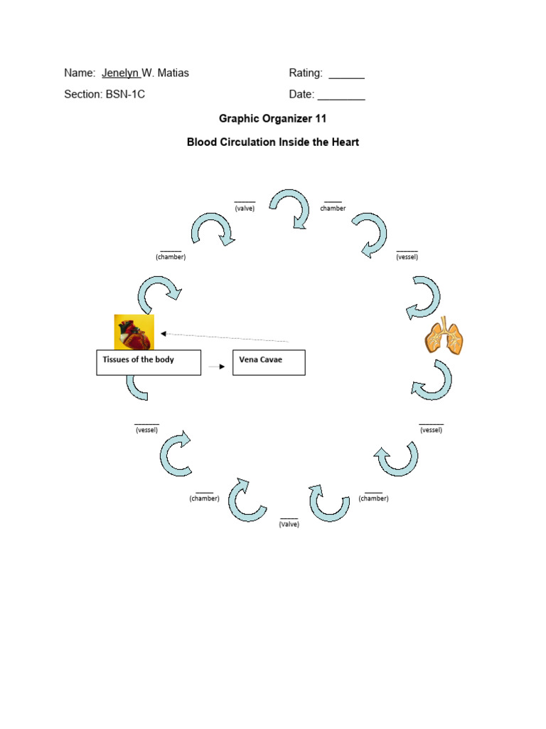 science-pdf-heart-angiology