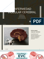 Enfermedad Vascular Cerebral