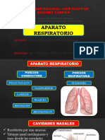 Aparato respiratorio