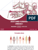 Unidad+i Presentación+ Anatomía+humana