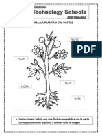 Cyt - La Planta y Sus Partes