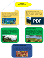 Mapa Conceptual Sobre Los Tipos de Ecosistemas