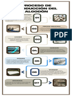 Proceso de Producción Del Algodón.