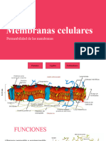 Biología, Apuntes