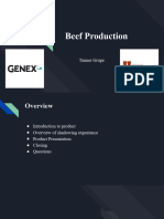 Beef Production