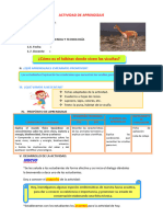 D3 A3 SESION PS. ¿Cómo Es El Hábitat Donde Viven Las Vicuñas