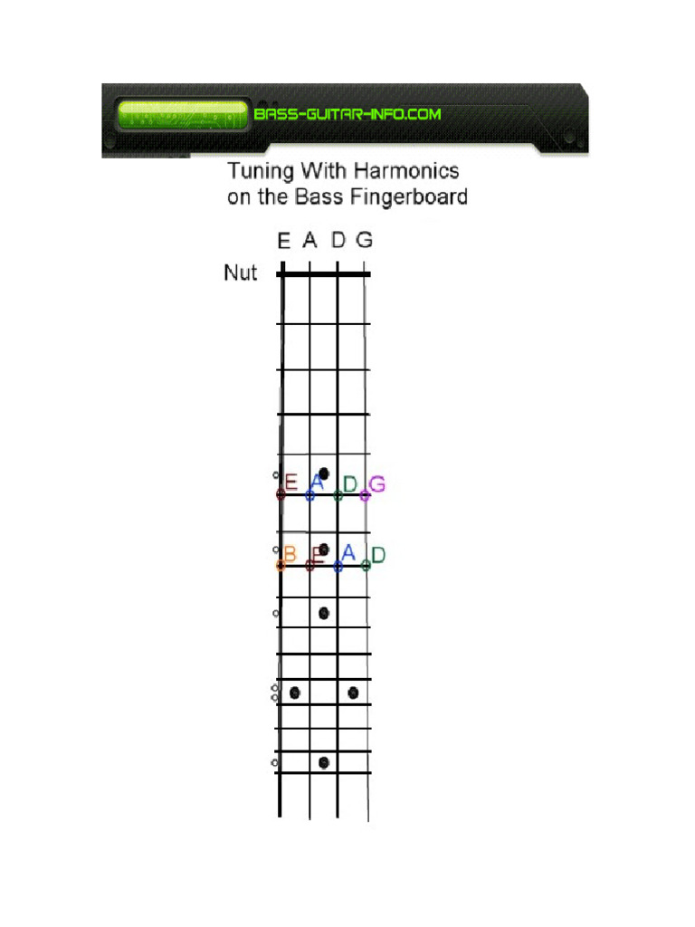 Tuning With Harmonics Bass | PDF