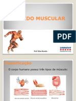 Tecido Muscular
