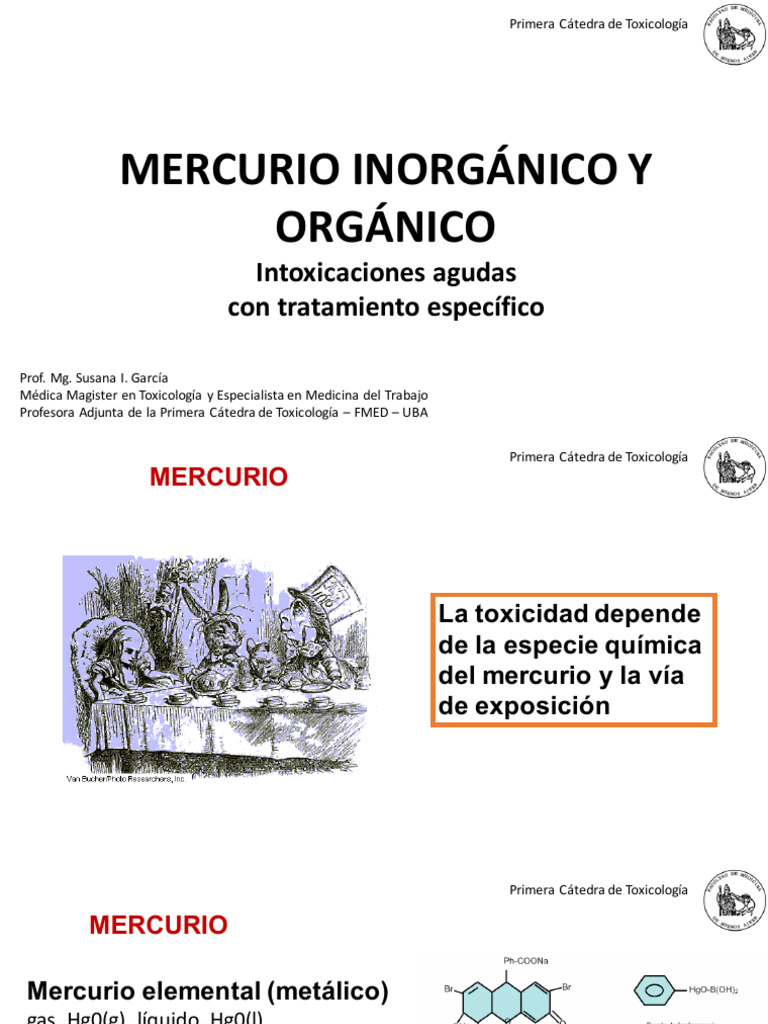 Mercurio Inorgánico y Orgánico | PDF | Mercurio (Elemento) | Toxicología