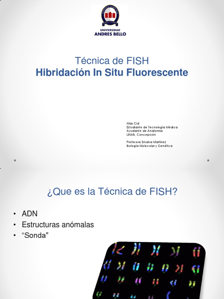 Técnica FISH en Biología Molecular | PDF | Hibridación in situ ...